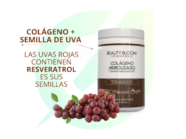 Colágeno Hidrolizado de Chocolate